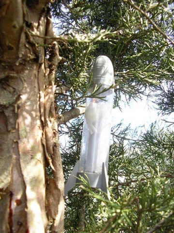 Example of a creation geocache and placement. Kids toy rocket strung up in a tree.