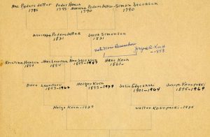 Hand-drawn family tree created by my mother